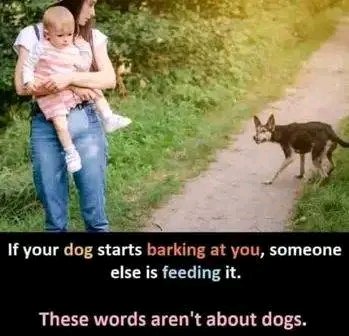 AgabaEd77420480's tweet photo. Relent t 2 uo relationship https://t.co/pZ54cNclbA