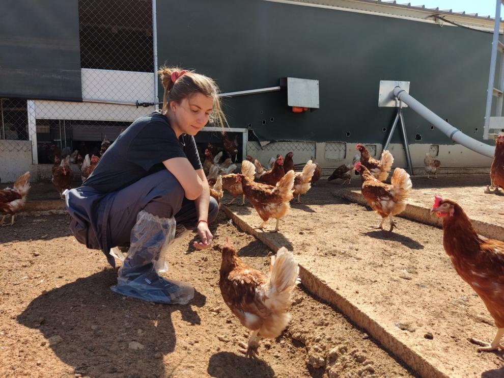 Eres estudiante de <a href="/UBI_pt/">Univ. Beira Interior</a>, <a href="/universite_uppa/">Université de Pau et des Pays de l'Adour (UPPA)</a>, <a href="/Univ_Savoie/">UnivSavoieMontBlanc</a>, <a href="/uvtromania/">Univ. de Vest</a> o <a href="/unito/">Università di Torino</a>. No pierdas la oportunidad de realizar tu movilidad Rural con <a href="/unizar/">Universidad Zaragoza</a>. 
Toda la información en internacional.unizar.es/unita--mobility