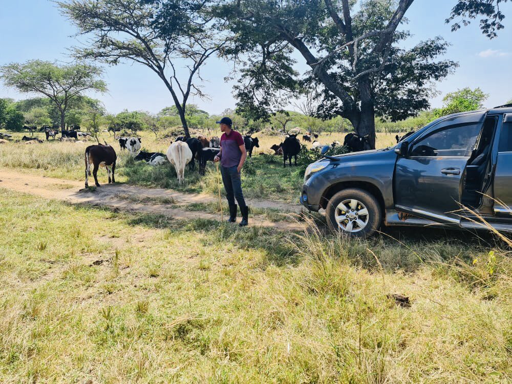 MwesigyeFranks's tweet photo. We don’t get money from government as you claim, this is our source of income 🙏 https://t.co/IF7xstNuwy