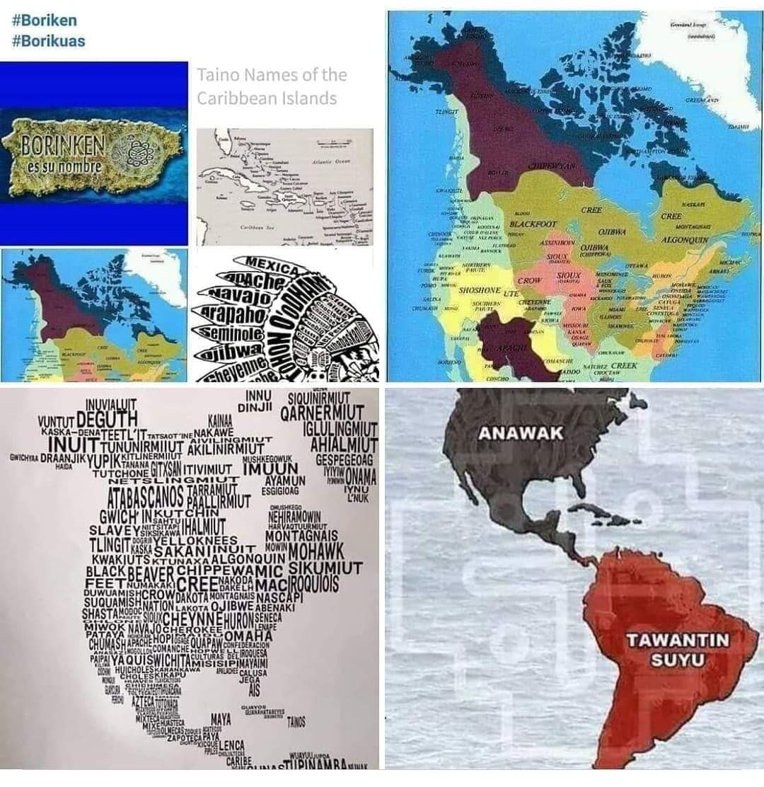 Fighter99021100's tweet photo. #HappyFreedomday
#TurtleISLANDERS from our
#MOTHERLANDS #CONTINENT
#TURTLEISLAND #ABYAYALA... https://t.co/laVhhfIAeK