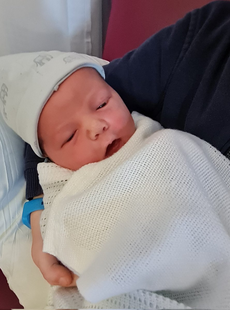 Ross Sysum tweet media