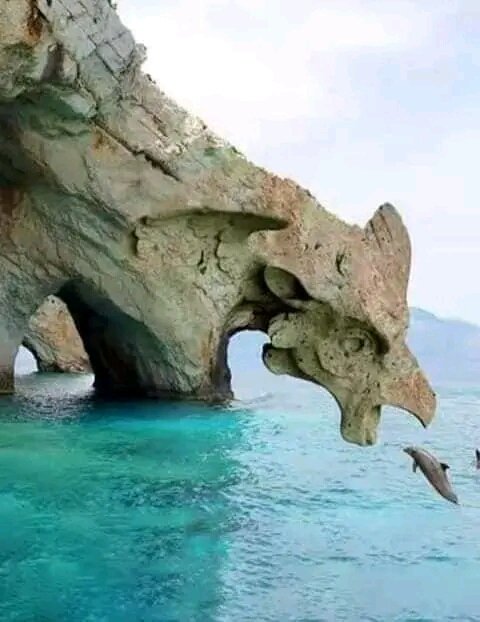 R__Naturebeauty's tweet photo. Nature 😍 Beauty 😍
#NaturePhotography #naturelover https://t.co/xIrgBTDSYp