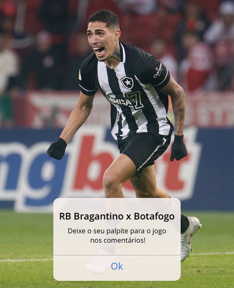 Botafogo F.R. tweet media