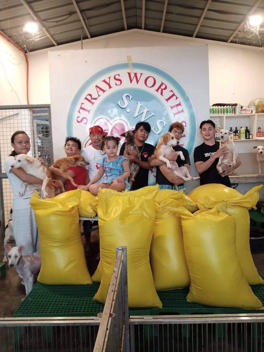 Our initial plan was to donate 200kg of rice to Strays Worth Saving - SWS, but to our surprise, the kind and helping hands of our members raised 1000kg of rice for the benefit of the strays!