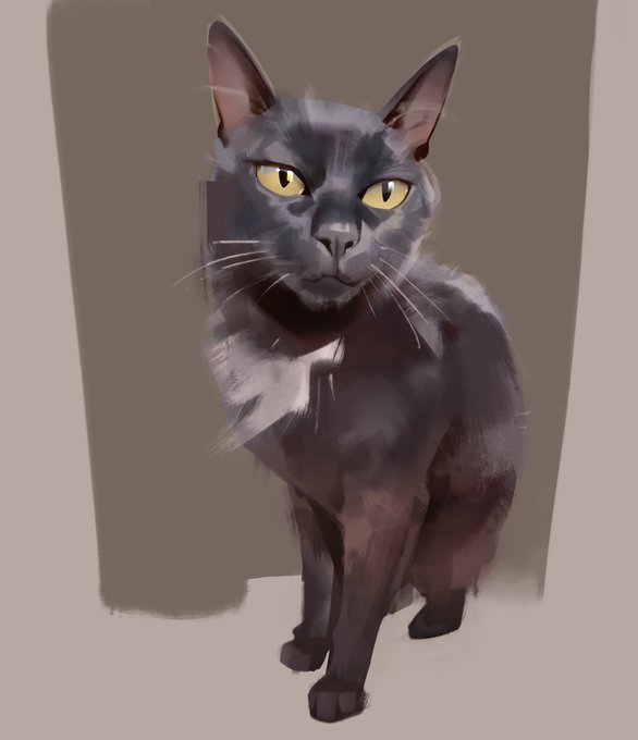 pet portrait!! I like how this one turned out 