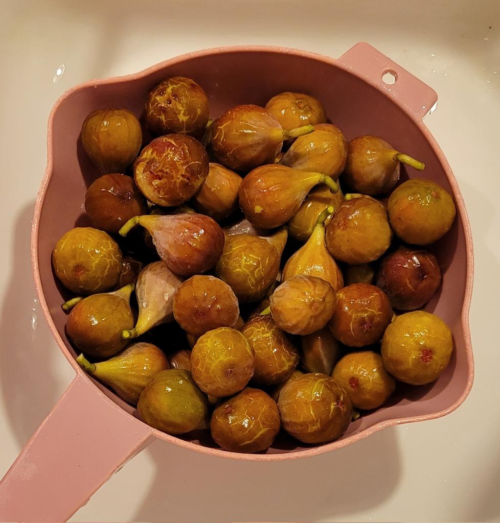 The figs are starting to ripen.