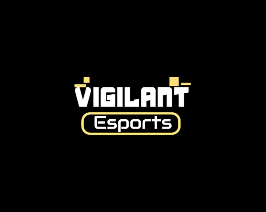 Team Vigilant tweet media