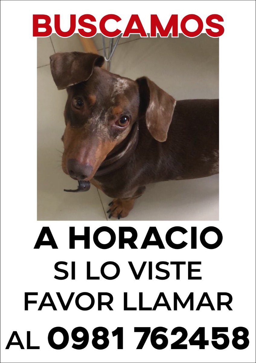 VaneMosBen's tweet photo. Seguimos buscando a Horacio, rt por fa, le extrañamos mucho @ttevicentejara @enriquedavalos @JOSEESCAURIZA @Juanctpy @jfergo86 https://t.co/BNzx8IGy7i