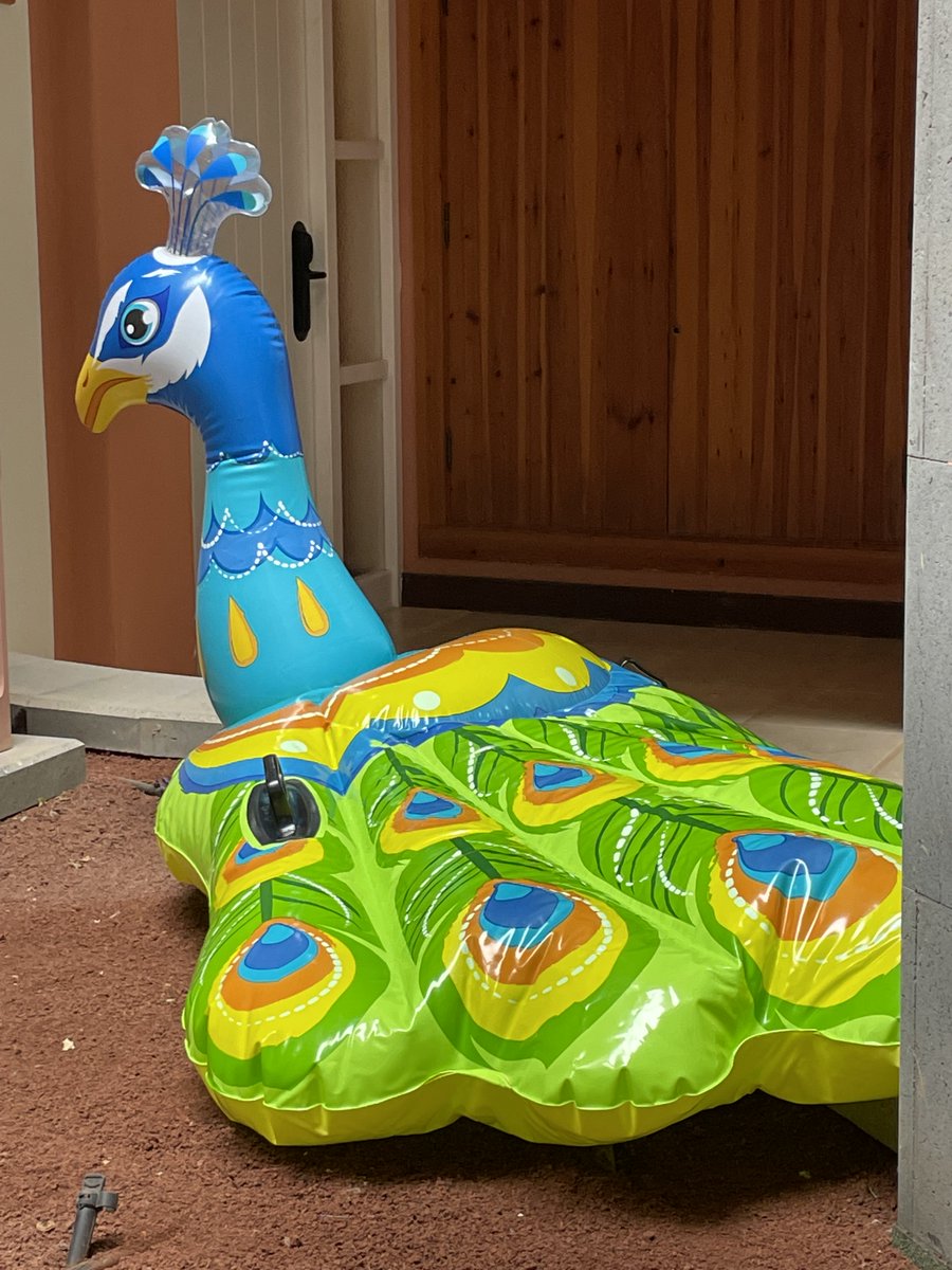 A lesson in aligning goals and asking “what matters to you”? Watched a father blow up this 2mx1m float for 2 hours only to have his children blissfully ignore it….parent focus= biggest and best float in the pool, childs focus= maximum fun with minimal effort!