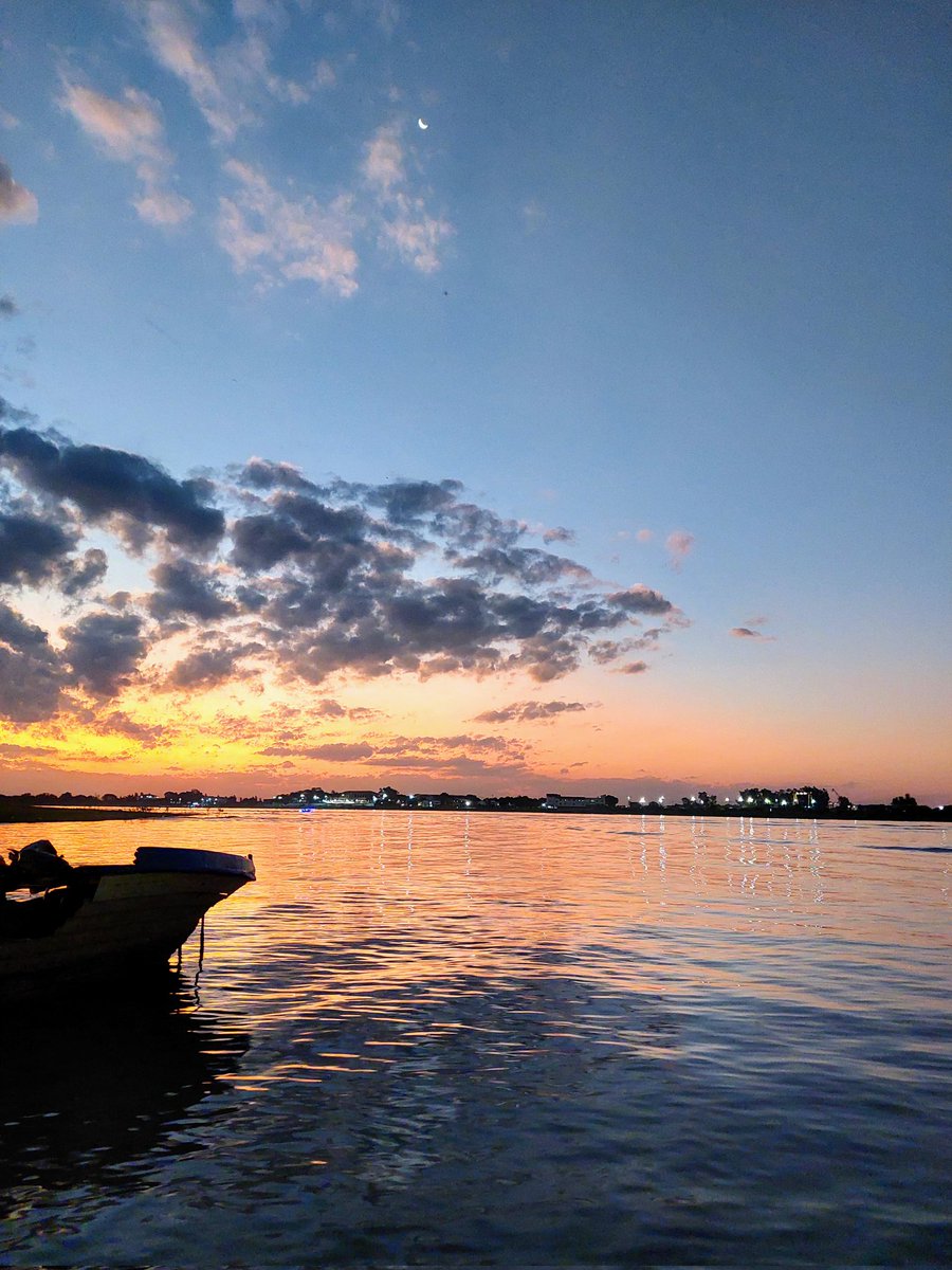 glupego's tweet image. 🌸💖❕️indescriptible...