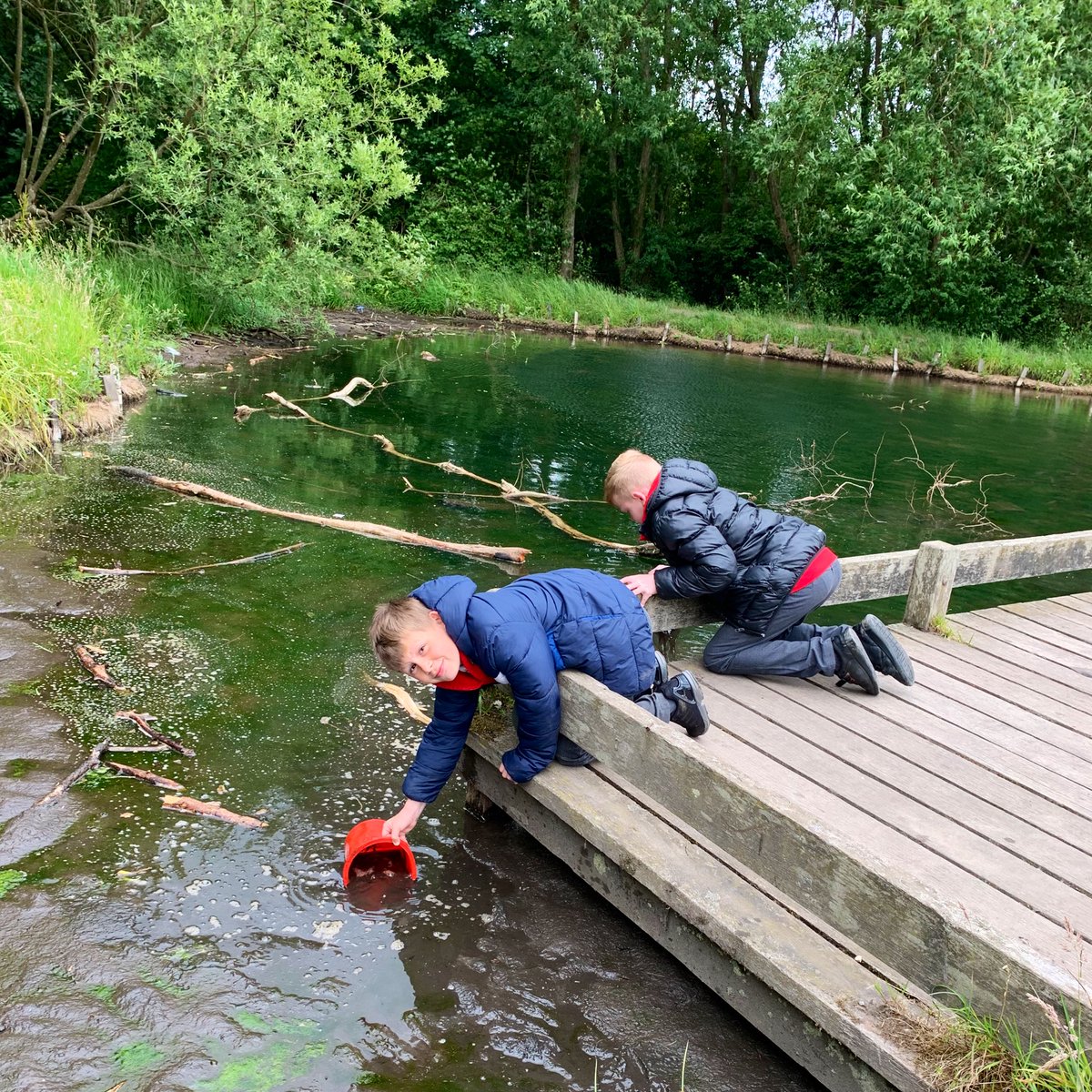 Kaiden and Branden enjoyed exploring the depths of a local pond in the hunt for more #LostWords 🐸
