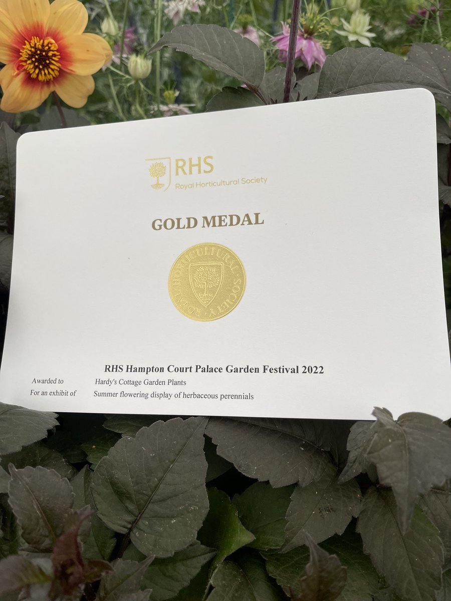 Happy @hardyplants @Rosyhardy62 Gold Medal @The_RHS #RHSHamptonCourt 😀😀😀🌸🌼🌺