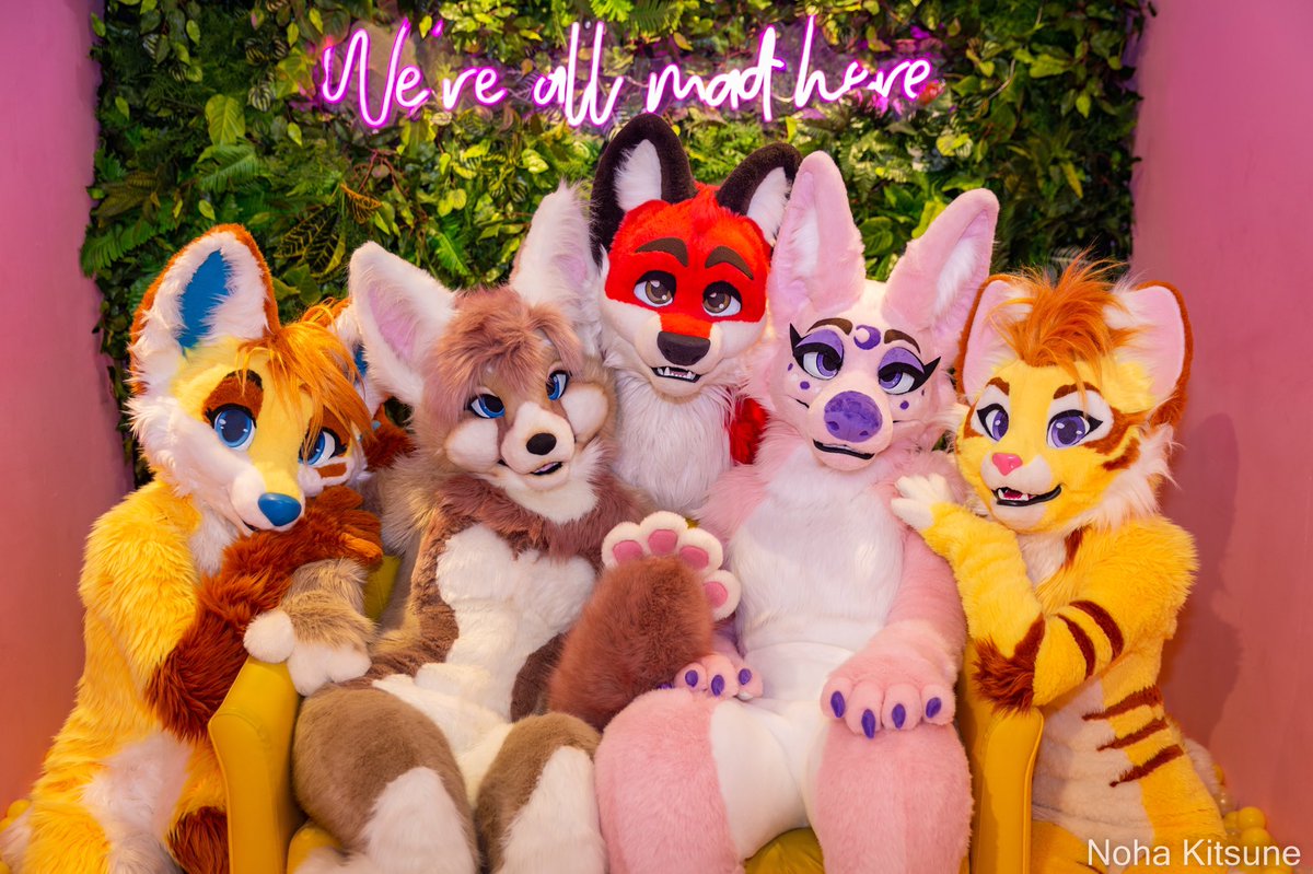 Best time with best beans 💛🧡❤️💖
A cat among the foxes 😺

<a href="/XavierFox19/">Xavier Fox</a> &amp; Ferne 
<a href="/FuzzerFox/">Fuzzer</a> 
<a href="/KyaraFennec/">kyara 🌙</a>