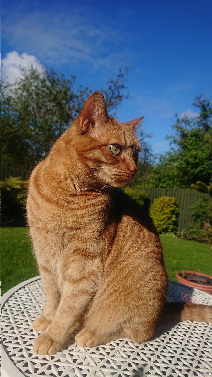 JayneHope_civg tweet media