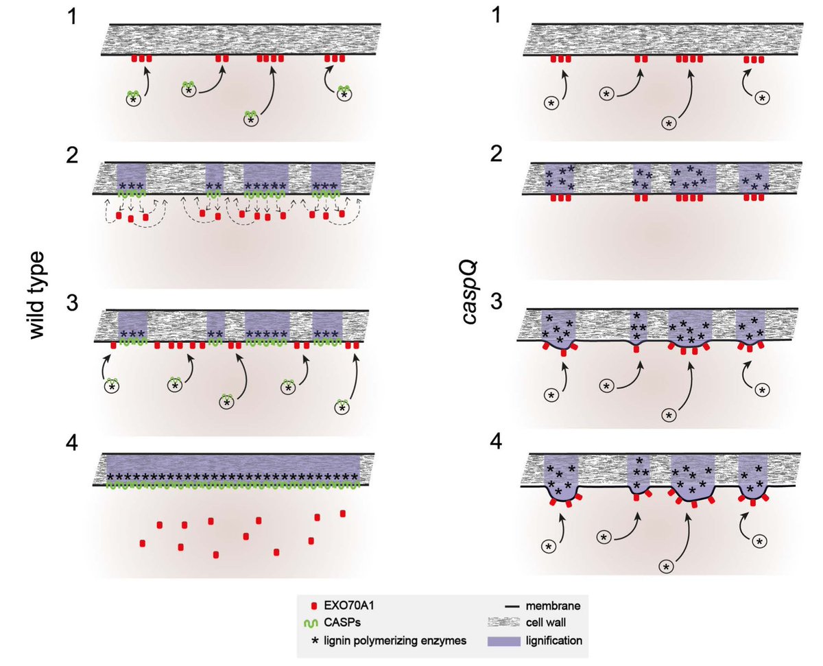 Niko Geldner tweet media