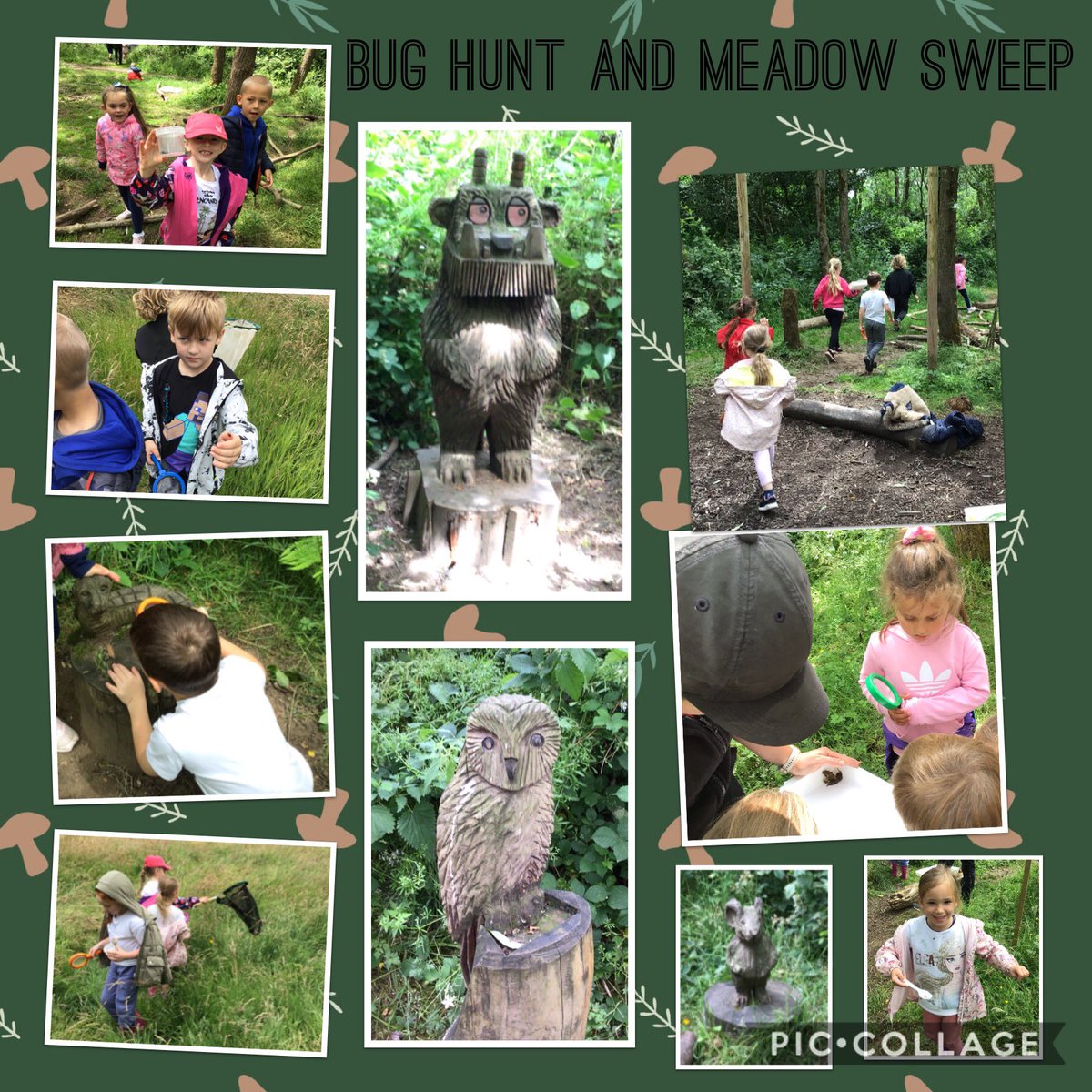ClassClifton's tweet photo. We loved our school trip today at @visitBrockholes thank you Emma and Kate 😊. We loved building our own dens and we found all the Gruffalo characters in the woods, while we were bug hunting, we even found a frog! The children were excellent well done 😊. https://t.co/A2Acj1xa1c