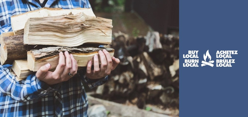 CanadaInvasives's tweet image. By burning local firewood, you are helping keep forests healthy and pest-free. Take the pledge: buylocalburnlocal.ca
#BuyLocalBurnLocal #invasivespecies #stopthespread