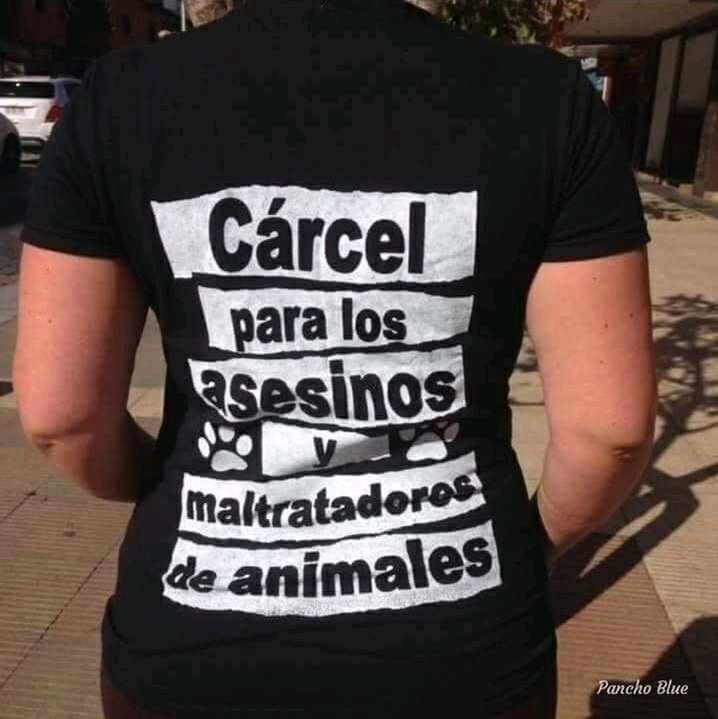 MartaZubero's tweet photo. L@s que alimentamos a los animales callejeros, no somos delincuentes, los que apoyan tampoco, delincuentes son los que abandonan y permiten que sus animales domésticos estén pariendo cachorros no deseados. https://t.co/NraA27Oqwc