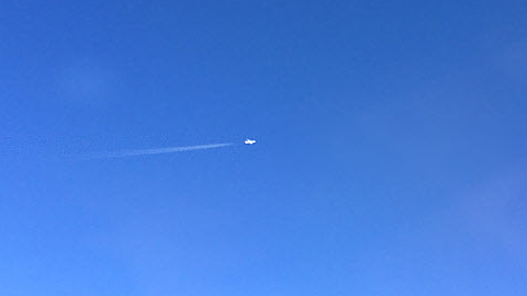 Untertacker's tweet photo. @ds106dc #ds106 #tdc3826 #myfest22 Something is watching us from up there. They want to know what we do. But we do wear hats to prevent identification. https://t.co/ECgV7vyQgJ