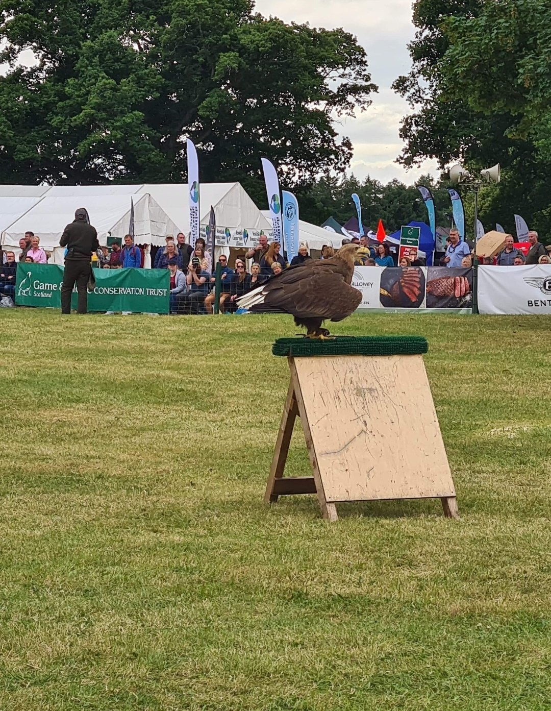 SafeTay Security Services LTD (safetaysecurity) / Twitter