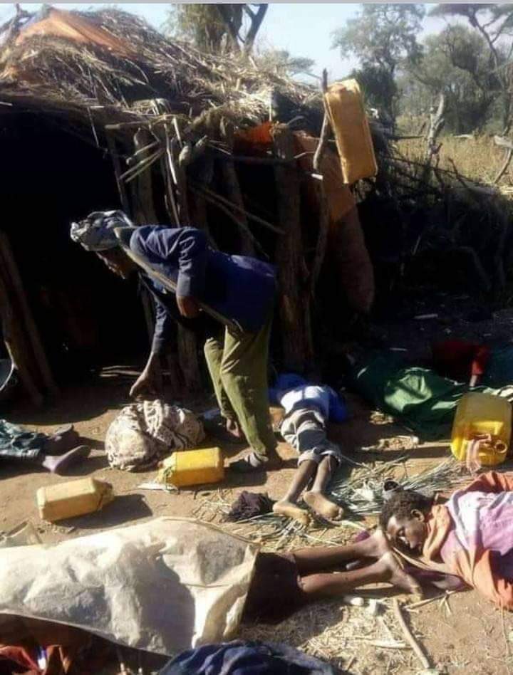 Ebrahim53277131's tweet photo. Sadly, It is been confirmed,Today,in Lemelem Kebele,Hawa Gelan Woreda, Qelem Wollega  @AbiyAhmedAli regime sponsored militias committed another #AmharaGenocide  more than 200 innocent Amhara civilians. #stopAmharagenocide #StateSponsoredAmharaGenocide  @UNOSAPG @hrw @UN_HRC @UN https://t.co/uQzNiZOX37