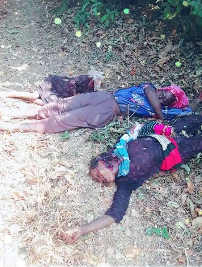 Ebrahim53277131's tweet photo. Sadly, It is been confirmed,Today,in Lemelem Kebele,Hawa Gelan Woreda, Qelem Wollega  @AbiyAhmedAli regime sponsored militias committed another #AmharaGenocide  more than 200 innocent Amhara civilians. #stopAmharagenocide #StateSponsoredAmharaGenocide  @UNOSAPG @hrw @UN_HRC @UN https://t.co/uQzNiZOX37