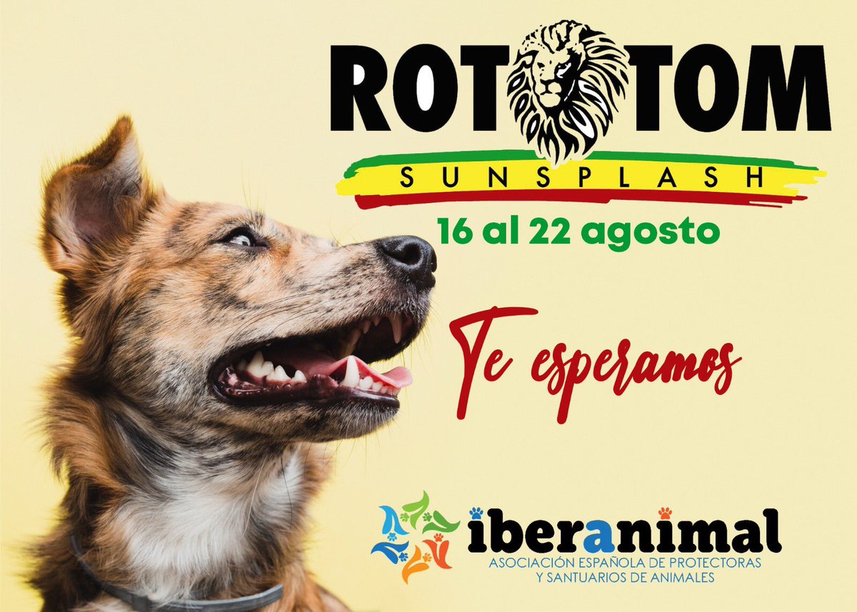 ESTE AÑO TENDREMOS UN STAND EN EL FESTIVAL DE REGGAE MÁS IMPORTANTE DEL MUNDO <a href="/sunsplash_es/">Rototom Sunsplash es</a> 

Muchas sorpresas para ayudar a NUESTROS PELUDOS!!!

Os lo iremos contando TODO!!!
♥️🐾🎶♥️

#adoptanocompres
#rototomsunsplash