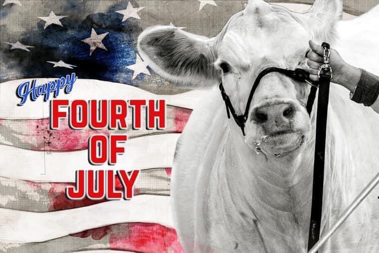 MalletEvents's tweet photo. Independence Day is a day to reflect on the history of this great nation, from before the Declaration to today, and the people that forged and fought for our country. Honor all these by celebrating with your family and friends and having a wonderful 4th of July! ❤️💙 https://t.co/L8BUVk59xb