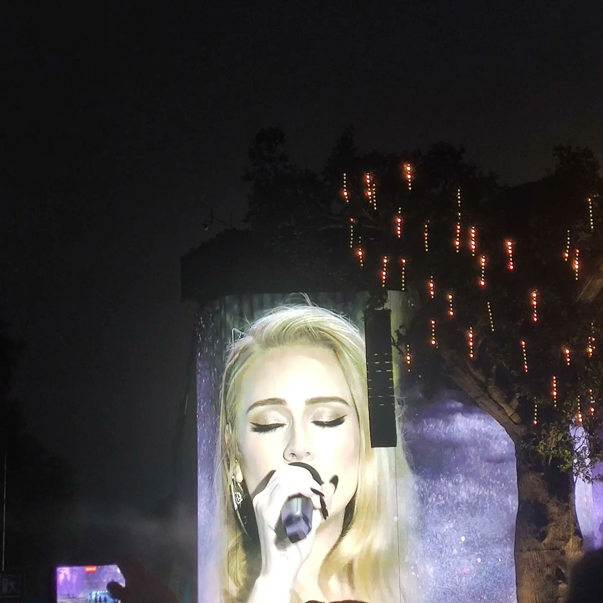 Adele you were just amazing! 😍
#AdeleBST 
#Adele 
#adelehydepark