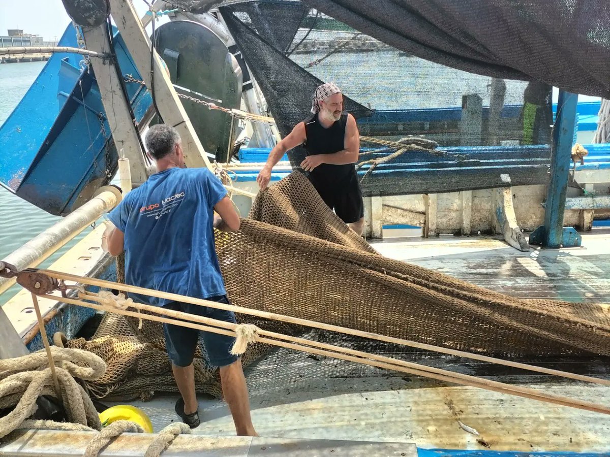 CIHEAM Zaragoza tweet media