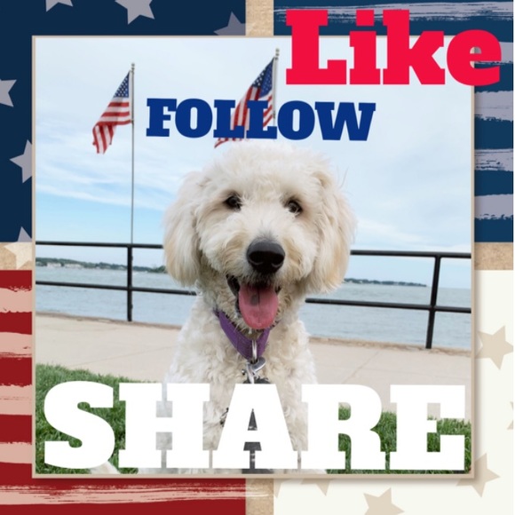 StonesSimple's tweet image. So good I had to share! Check out all the items I'm loving on @Poshmarkapp from @LuanneTurnbull #poshmark #fashion #style #shopmycloset #victoriassecret #athleticworks: posh.mk/s8OkQzHCorb