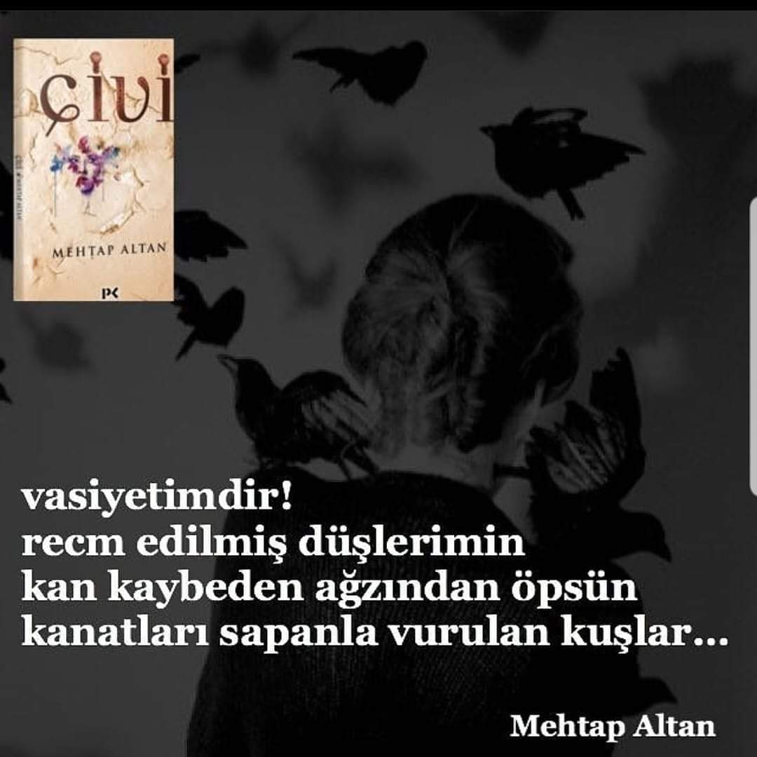 Mehtap_Altan's tweet image. ...

#şiirkitabı #çivi #profilkitap