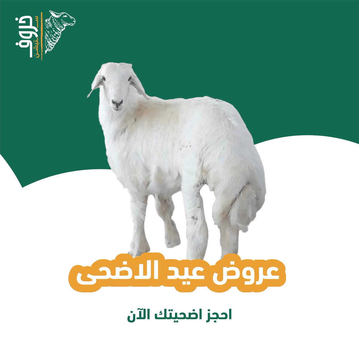 5arofstation's tweet photo. يمكنكم الآن حجز اضحيتكم
من خلال الموقع الالكتروني او عبر التواصل على رقم الواتساب

يتوفر الذبح خلال اول وثاني ايام العيد
أضحية حري جذع كبير "جبر" 1850 ريال
أضحية حري جذع وسط 1650 ريال

يضاف سعر التوصيل والذبح حسب اليوم
.
.
.
#أضاحي #أضحية_العيد #خروف #ذبح #ذبائح #حج #عيد_اضحى https://t.co/1kN2pVzlJh