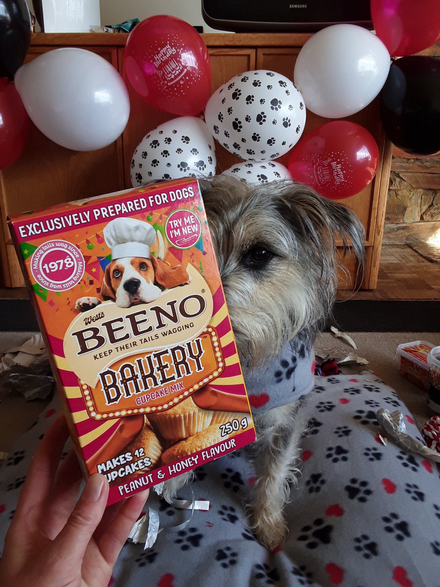 Beeno dog biscuits best sale specials