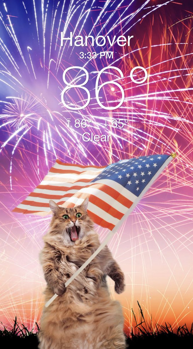 HeidiHormel's tweet image. Best #weatherkitty ever!