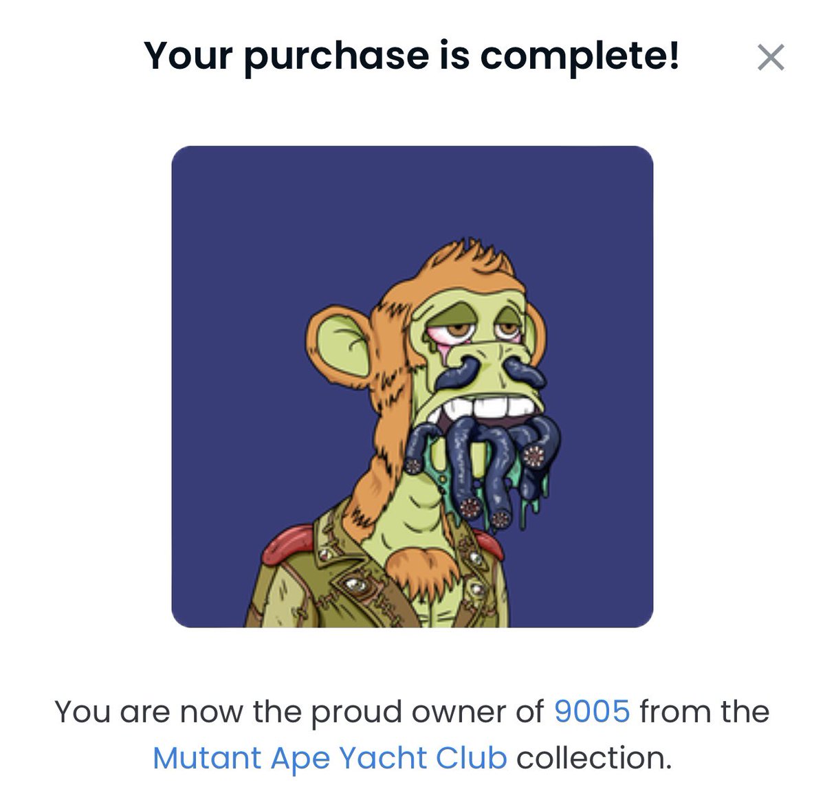 God Hates NFTs 🐇 tweet media