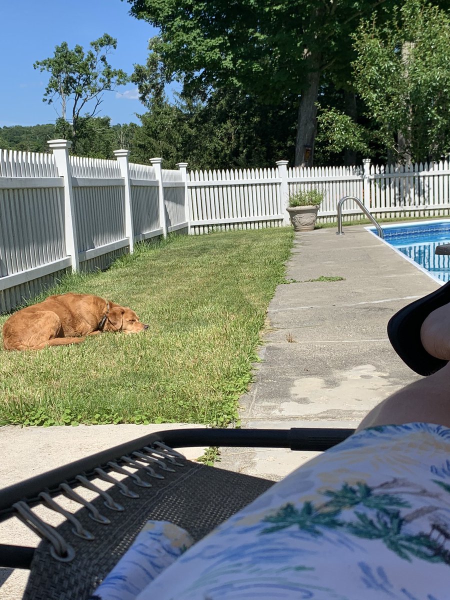 Just a man and his (gutter) dog enjoying a lazy 4th