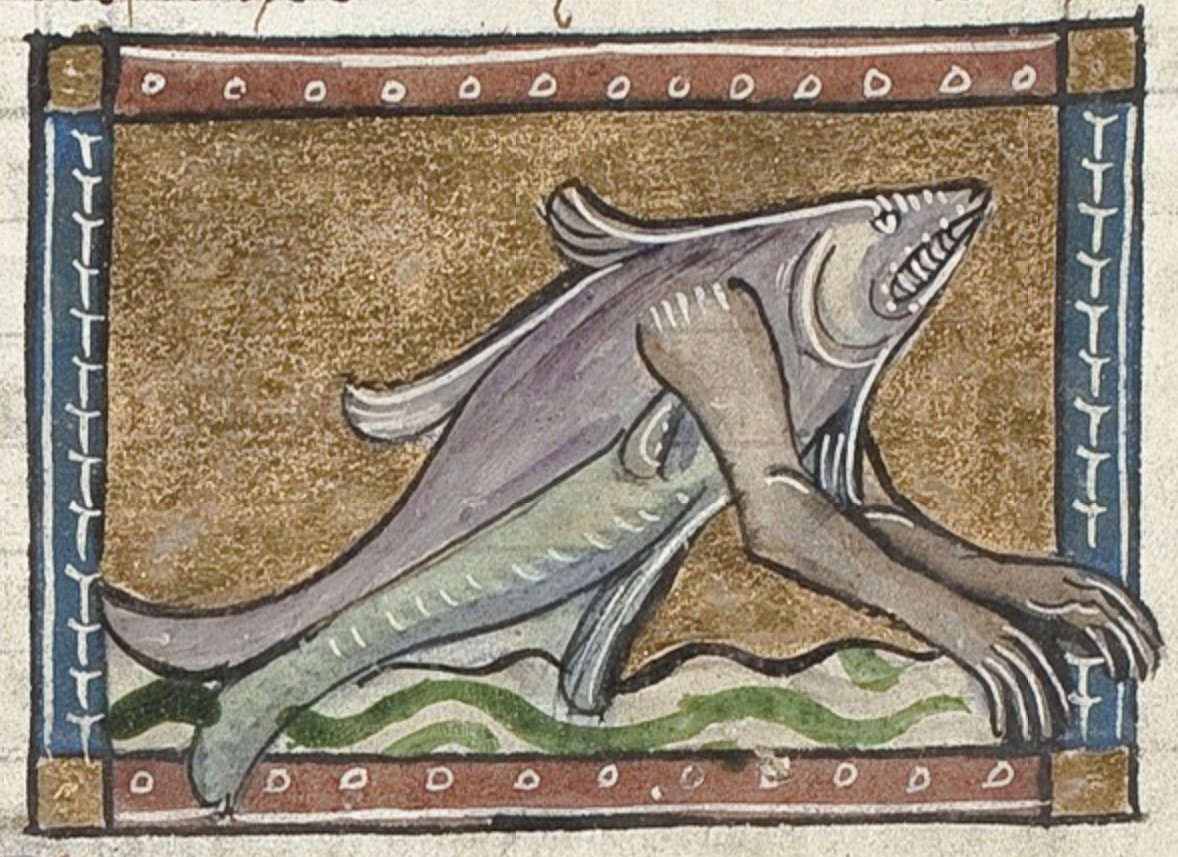 WeirdMedieval tweet picture