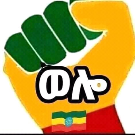 MohammedAAwol1's tweet photo. ወሎንና ወሎየነትን በአፈ ሙዝ ማጥፋት አይቻልም።
#በቃን
#Wollogenocide
@AbiyAhmedAli
@EthioHRC 
@MoP_Ethiopia https://t.co/j6AOAKu6Lp