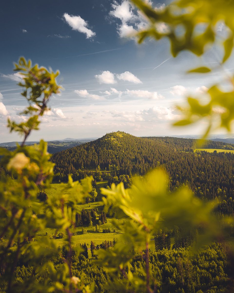 speer_philipp's tweet photo. Thuringian Beauty. 🥰💚 #thüringen #photography #tones #germany #europe https://t.co/ctmnwKxzuT