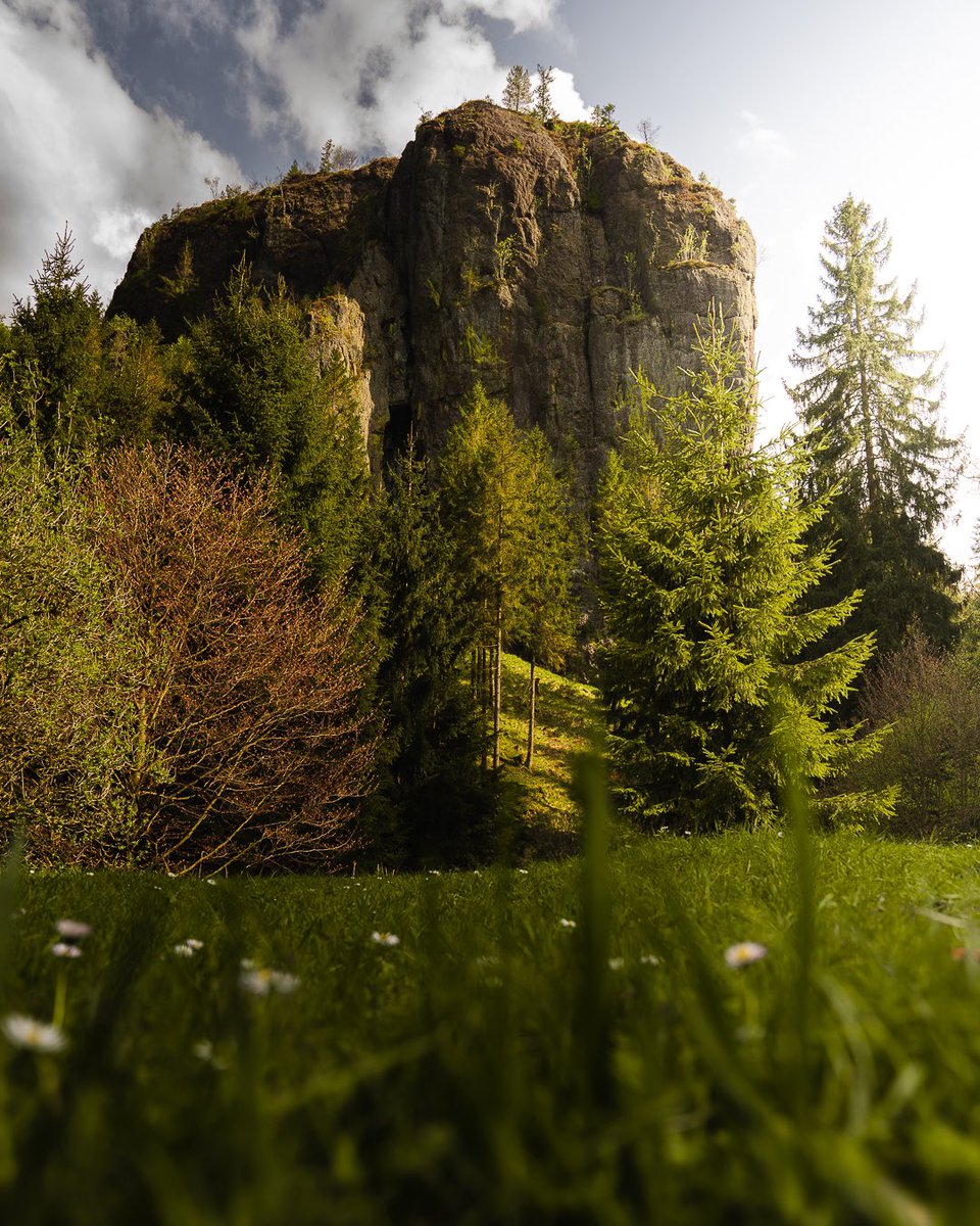 speer_philipp's tweet photo. Thuringian Beauty. 🥰💚 #thüringen #photography #tones #germany #europe https://t.co/ctmnwKxzuT