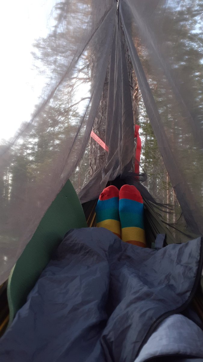 PiaPyhtila's tweet photo. Tehdä asiat ajallaan. Se on tavoite. Kun lapsi haluaa vaellukselle niin siinähän sitä on kesä vaellettavaksi. Sitten voi käydä niin, että haluaa myöhemminkin. Niinkuin nyt kävi.Lähti yksi ja lähti toinenkin.#vanhemmuus #riittävä #kuulensinut https://t.co/Rro5DcLYwy