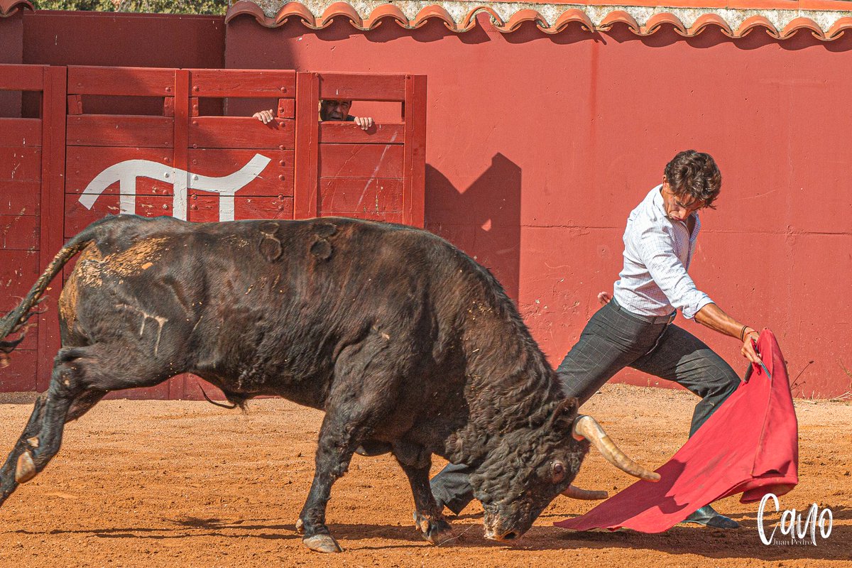 💪 Cuanta atrás para #Valencia #FeriaDeJulio
⏳ Faltan 12 días
🗓️ El 16 de julio DUQUE con la corrida de Fuente Ymbro 

💳 Puedes conseguir tu entrada en <a href="/plazadevalencia/">Plaza de Toros de Valencia</a> a golpe de clic, sin colas ni esperas ¡Vente a los Toros!
👉 bit.ly/EntradasToros_