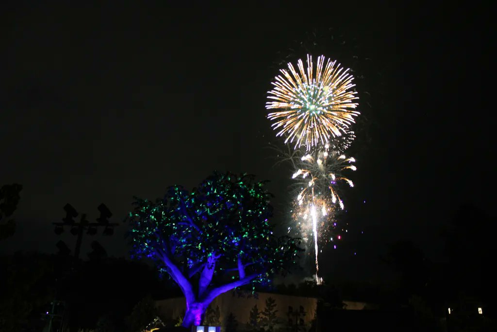 DollywoodP's tweet photo. Have a safe and wonderful day today. #SweetSummerNights @Dollywood https://t.co/lwGljZ4hTA