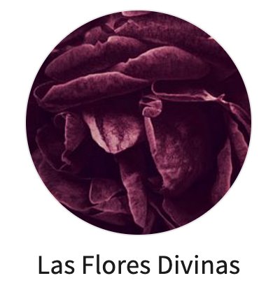sdetroy's tweet photo. My #4thOfJuly #holiday creating #NFTcollections
@objktcom Honoring flowers, first collection - Roses #lasfloresdivinas flowers are divine, #Iloveroses
because #earthlove #botanylove https://t.co/9S2vRjNcgr