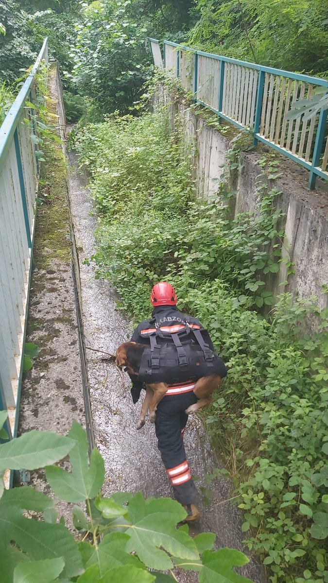 Her şartta küçük dostlarımızın yardımına koşmaya hazırız.