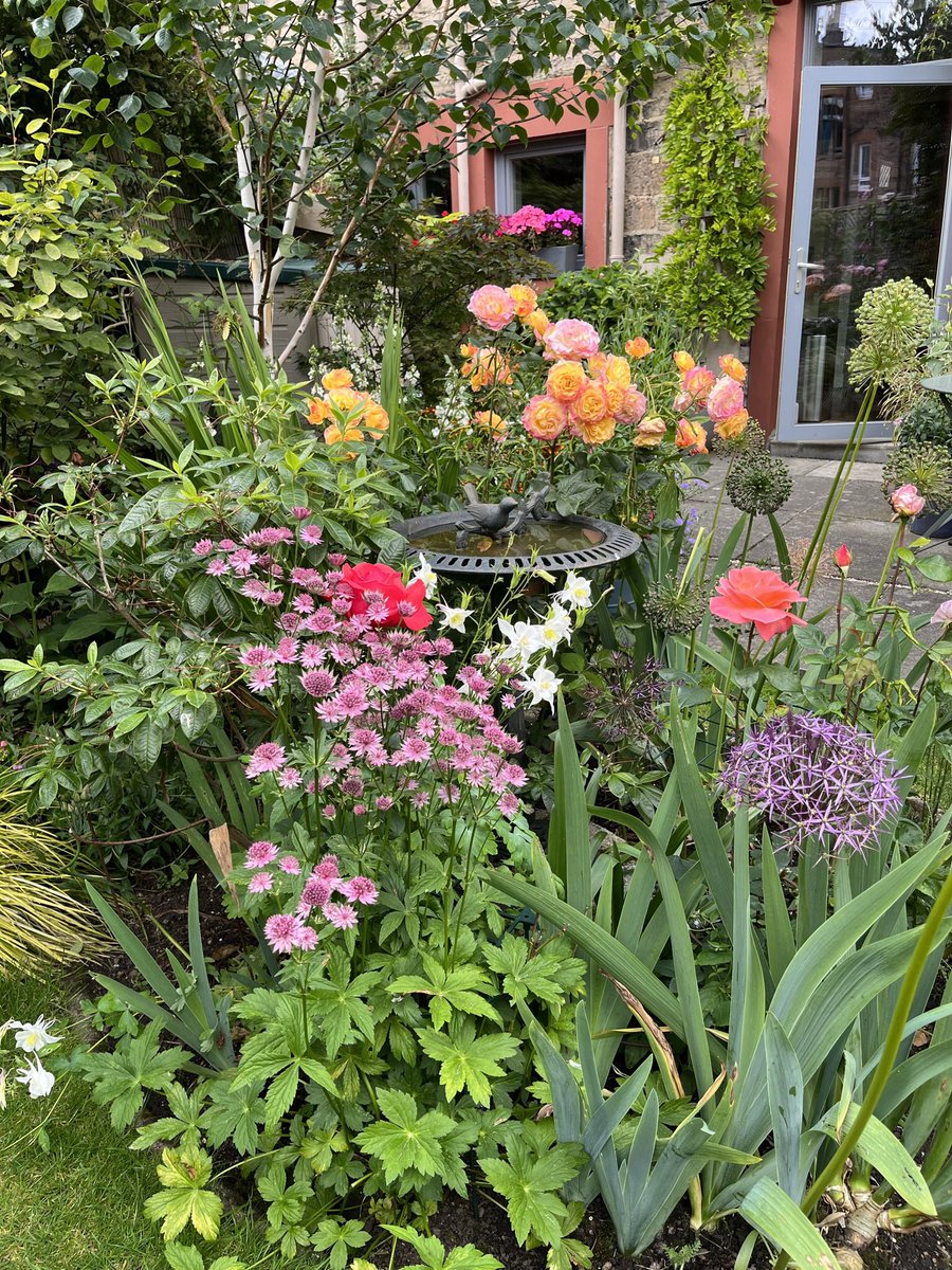 @GardensHour July means flowers! #GardensHour #gardensoftwitter #smallgardens