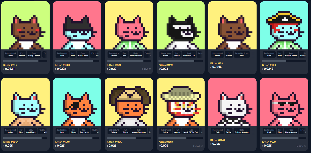 Litter Kittens tweet media