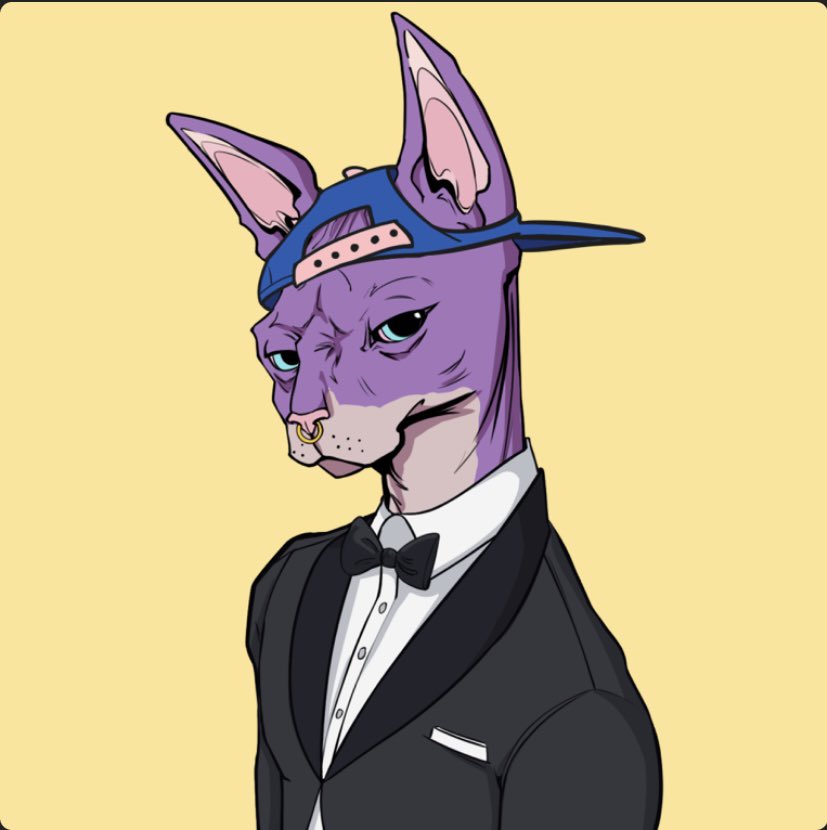 SolanaScout_'s tweet photo. @Ricc_Skywalker @TheSphynxUS https://t.co/i3gMKpPhAp