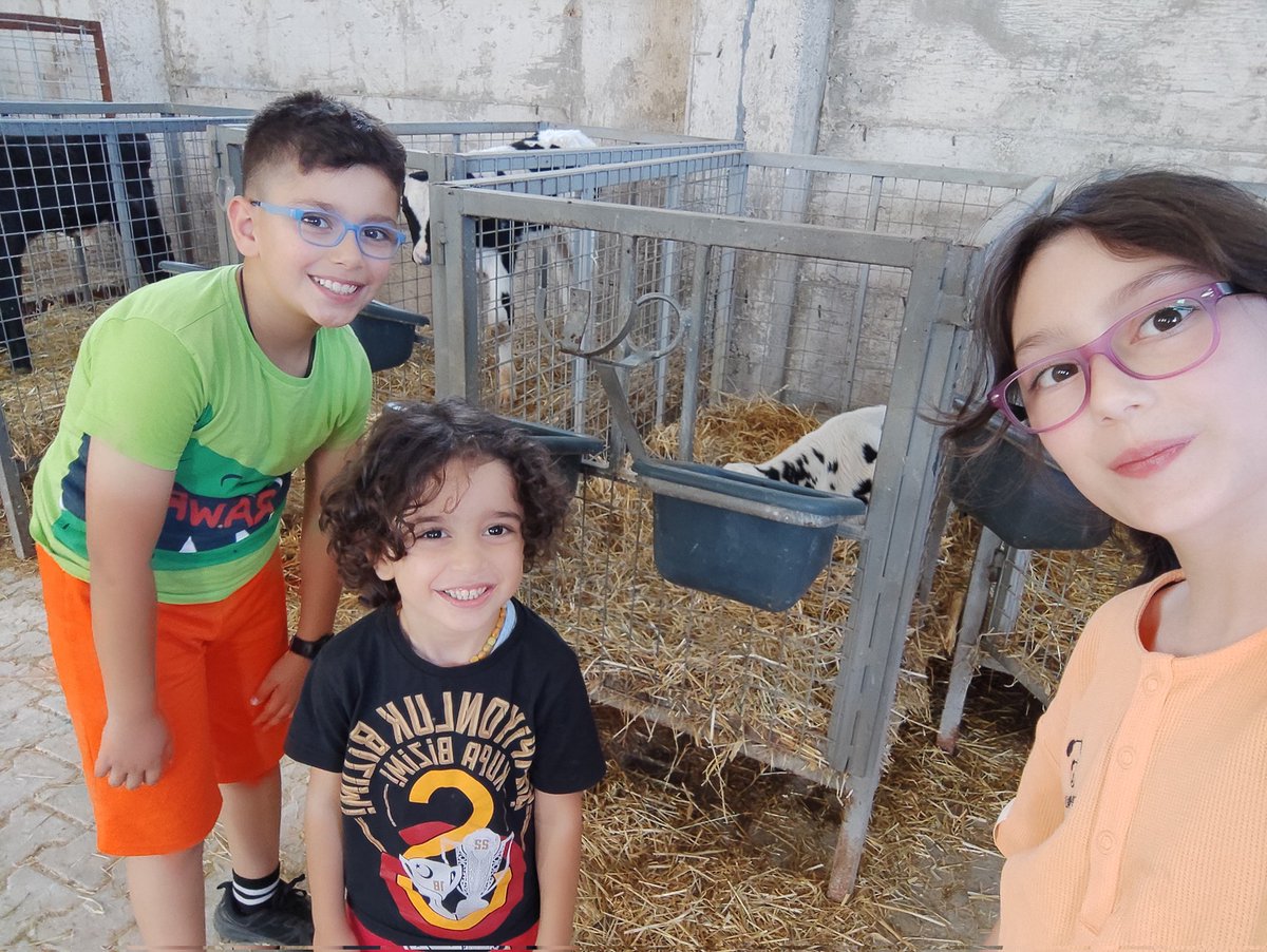 160 TL lik bir rasyon ile beslenen  hayvan 20 lt süt içiyor demek işletme maliyetlerini de koyarsak bu maliyet 22-23 lt kere kadar çıkıyor yüksek verimli hayvan beslemezsek yem süt paritesini yakalama şansımız yok